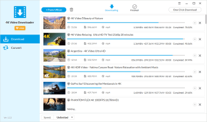 download video from website windows 10